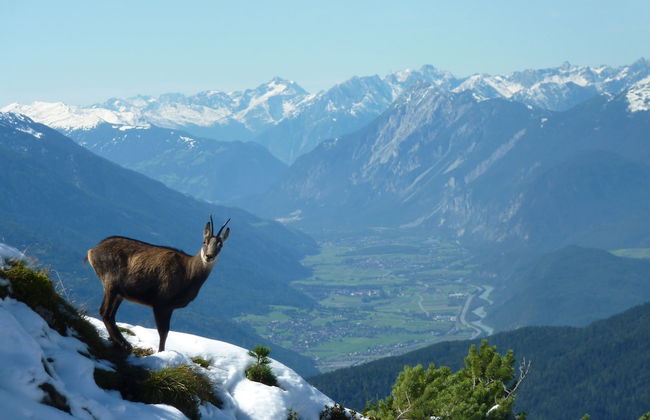 Appartements Rabitsch Hof - Foto 54