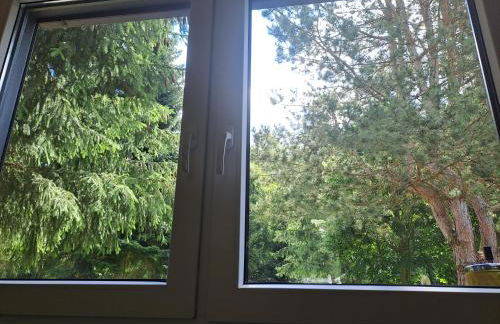 Haus Zander - Foto 8