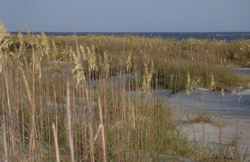 Spacious Condo in the Heart of Hilton Head - Foto 62
