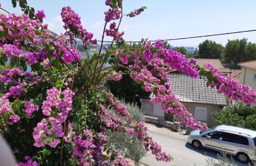 Apartman VeDE Baćina - Foto 30