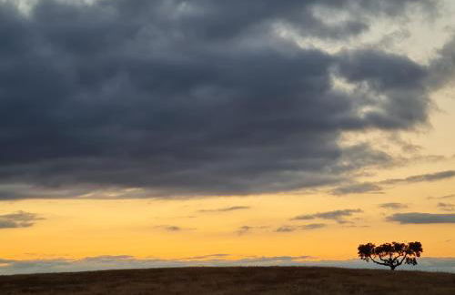 Monte do Arneiro - Foto 69