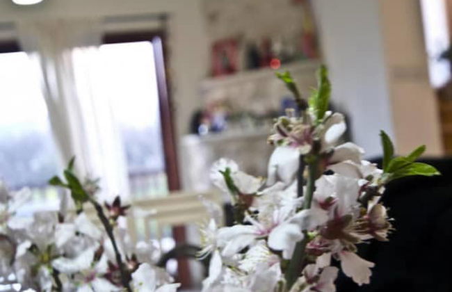 Lania Royal Oak House - Foto 8