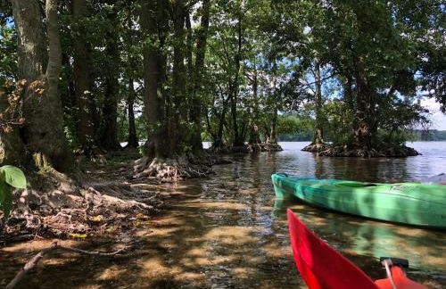 Bungalow am Dobbertiner See - Foto 15