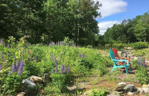 Custom Cabin Surrounded by River in Newfane, Vermont - Foto 10