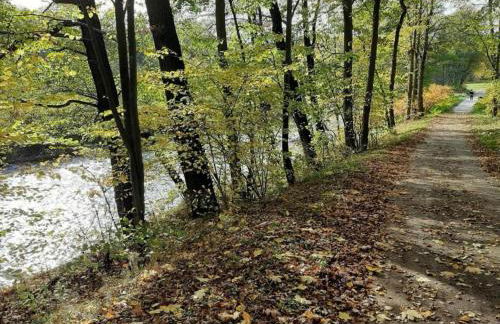 Quiet Comfort in Oelsnitz - Foto 29