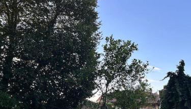 Casona con encanto, siglo XVIII - Foto 4