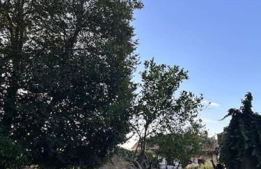 Casona con encanto, siglo XVIII - Foto 4