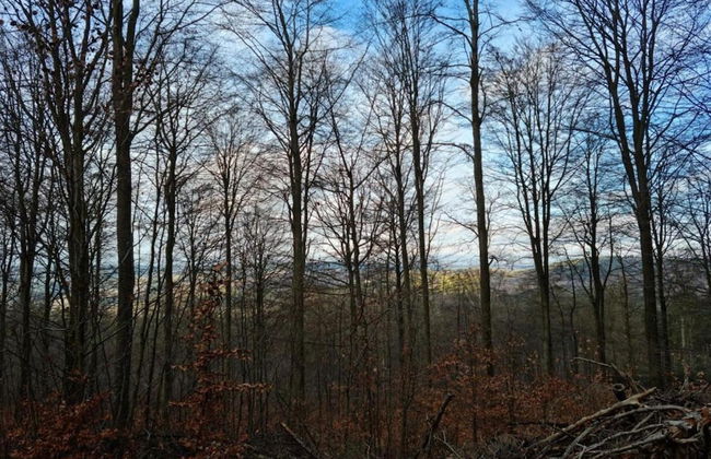 Stylish Apartment With Terrace in Sonneberg - Foto 31