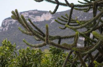 Ronzi Apartments - Foto 55