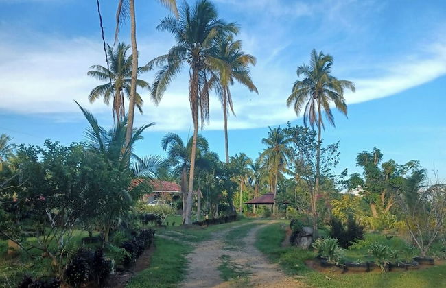 Asuneus Farm - Foto 11