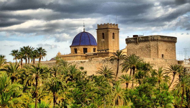 Les palmiers à côté de la basilique de Santa Maria