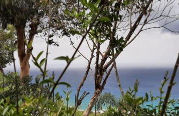 Villa Panorama - Foto 47