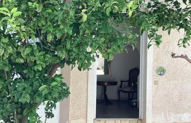 Lemon tree - Foto 31