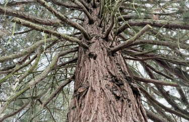 Villa HARMONIE - Foto 20