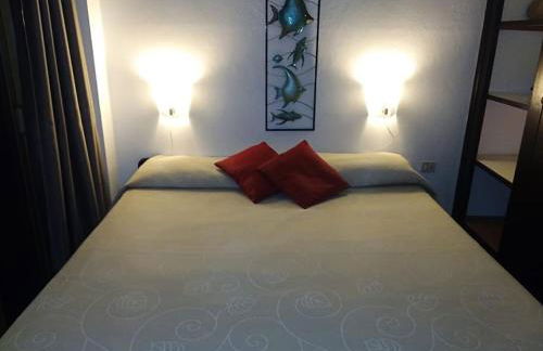 Vivienda Apartamento Gallo Playa Puerto Naos - Foto 13