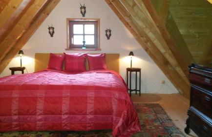 Ferienwohnung in den Dorfwiesen - Foto 33