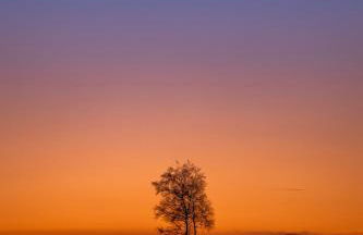 Haus Wiesenquelle - Fewo 14 "Timeout", Feldberg - Foto 29