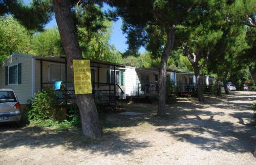 Villaggio Verde Cupra - Foto 19