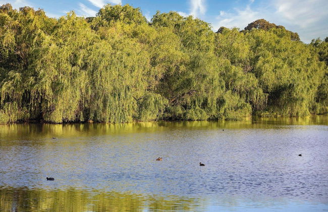 Club Wyndham Ballarat, Trademark Collection by Wyndham - Foto 34