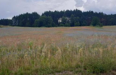 Wierzchy 34 - Photo 18