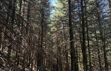 Gravia's Villa - Foto 65