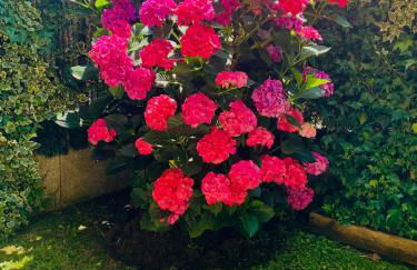 Apartamento en Comillas-Garden Apartment in Comillas - Foto 22