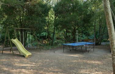 Gites de la Massane - Foto 11