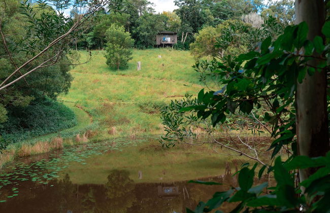 Whispering Valley Cottage Retreat - Photo 36