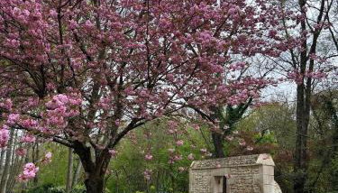 Le Moulin de Giroir - Foto 3