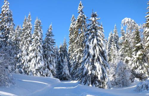 Chabot de Saint Maurice Meublé de Tourisme 3*** - Foto 34