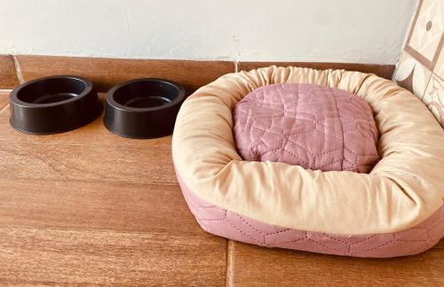 Casa Pires - Photo 5