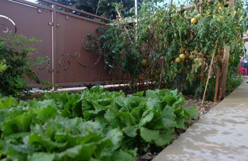 Villa Eden - Foto 35