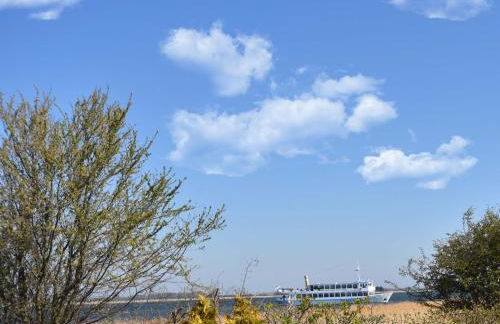 Ferienhaus Inselliebe - Photo 27