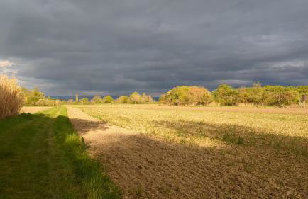 Badischer Neubau-Ruhe-Kunst-Natur - Foto 17