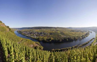 Weingut Rebenhof - Foto 8