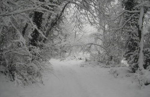 Agriturismo Campagnoletto - Foto 62