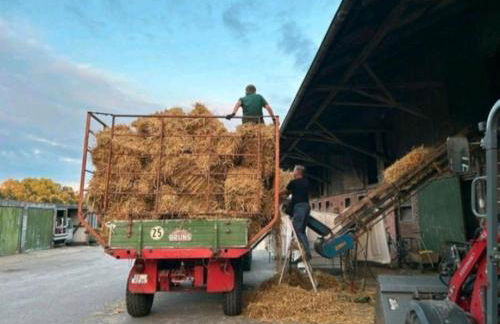 FeWo Mareike - Photo 11