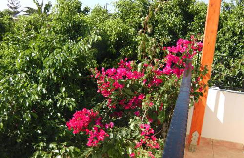 Serenity Hideaway - Photo 24