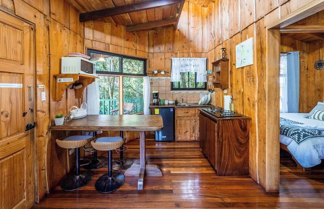 Violeta Homes Monteverde - Foto 19