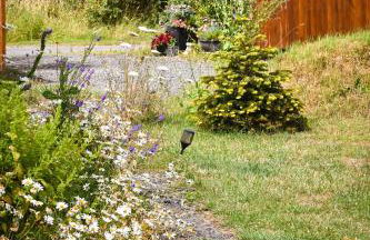 Bluebell Cabin - Foto 45