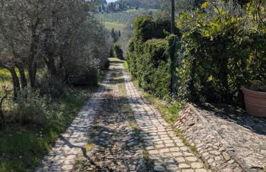 Chianti Holidays, Il Poggetto da Alfina - Foto 46