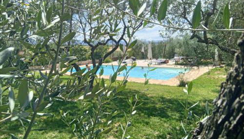 Uliveto Benedetti - Foto 2