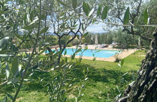 Uliveto Benedetti - Foto 2