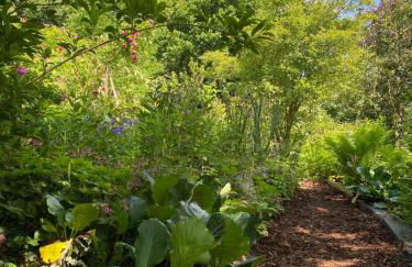 Pfarrhaus Tollensesee - Foto 74