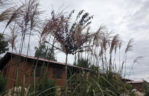 Domki Letniskowe Pięciu Pomostów - Foto 16