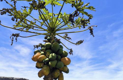 Apartamentos Guayonje Costa - Foto 26