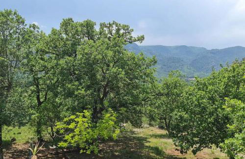 Gîte Le Lion d'Or - Foto 3