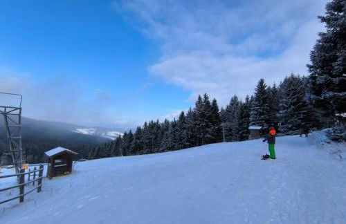 Ferienwohnung Maggie - Sankt Englmar - Foto 38