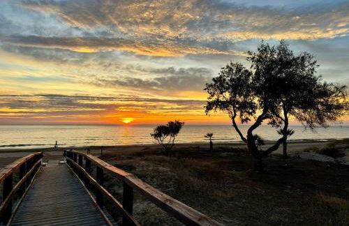 Apartament La Mata - Photo 36