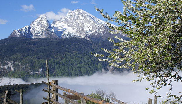 Ausflug zum Großglockner – Privat - Foto 4